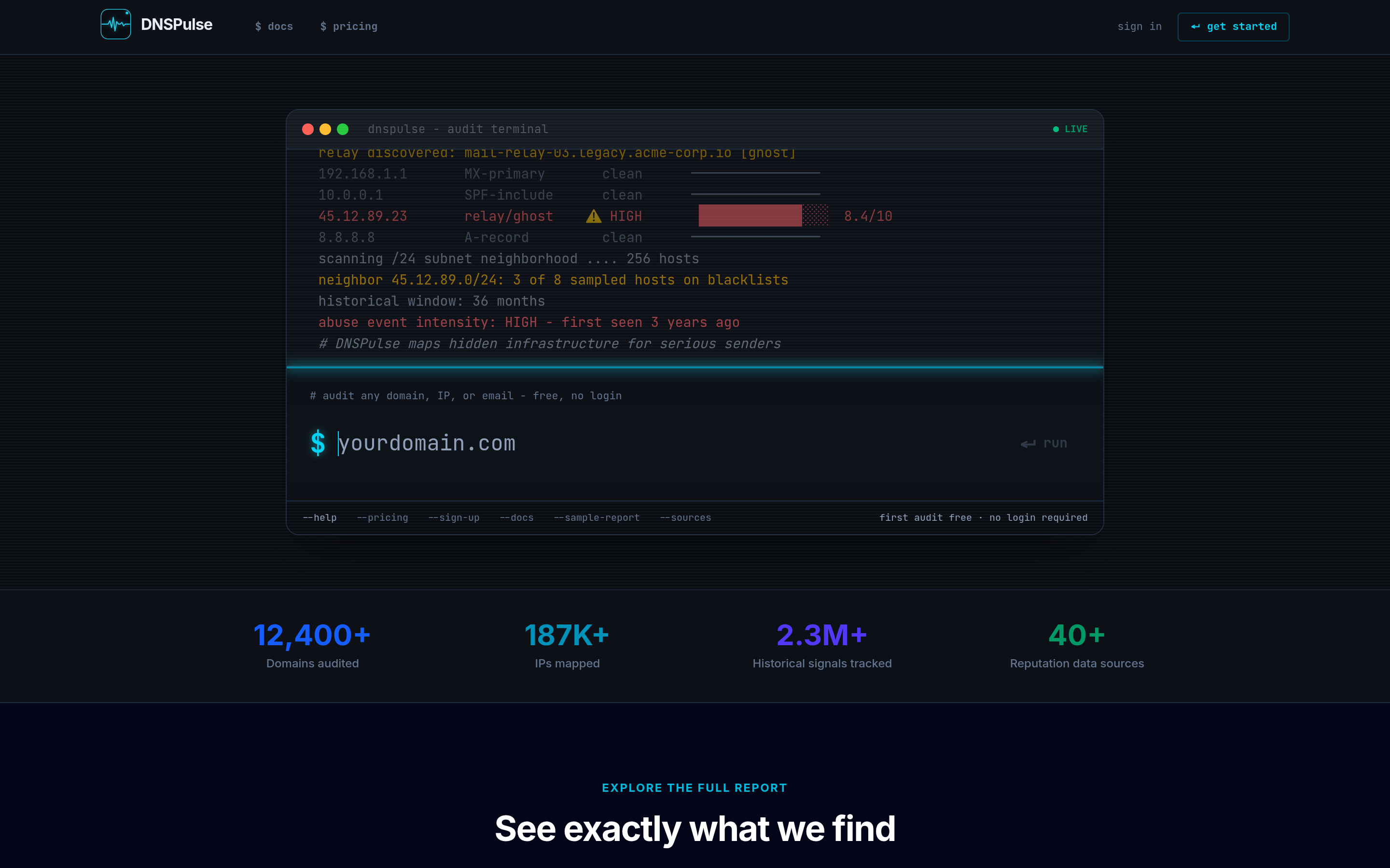 DNSPulse product screenshot
